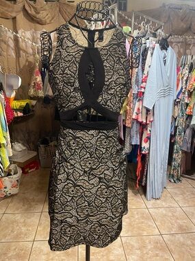 knee length dresses for ladies Caprice Sheer Embellished Bodycon Mini Dress in Almond